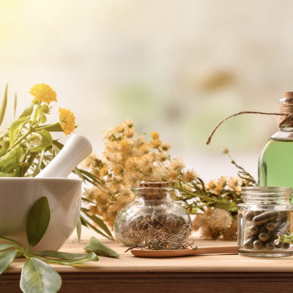Plantes médicinales