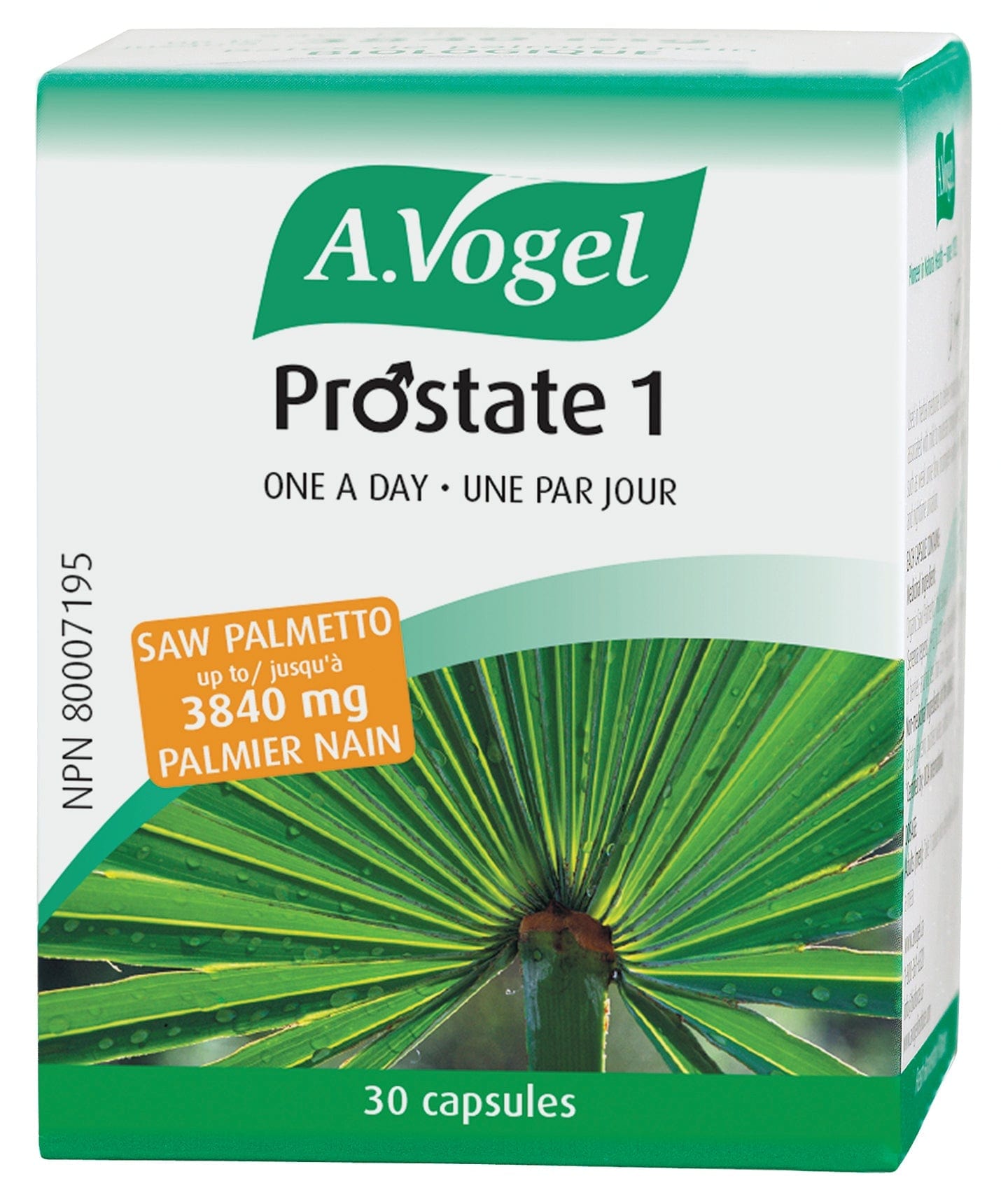 BIOFORCE (A. VOGEL) Suppléments Sabalasan prostate 1 (affection de la prostate) 30caps