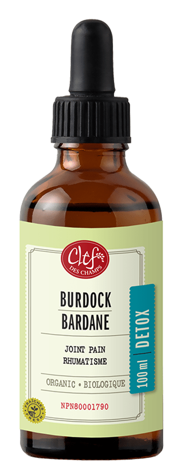 CLEF DES CHAMPS Suppléments Teinture Bardane 100ml