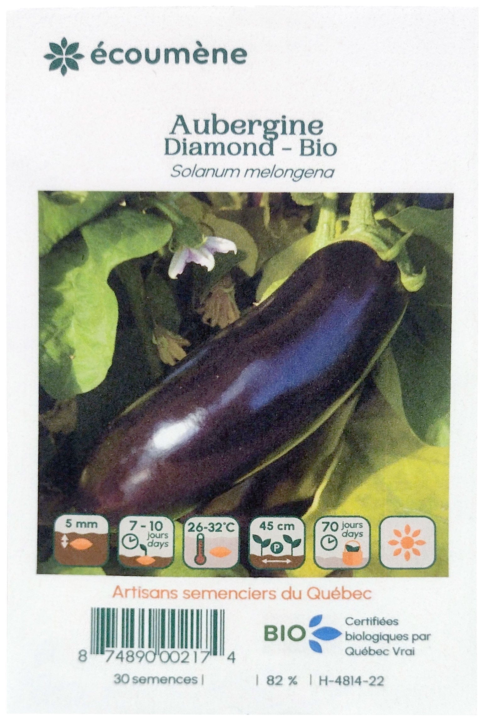 JARDINS DE L'ÉCOUMÈNE Épicerie Semence aubergine diamond bio (un)