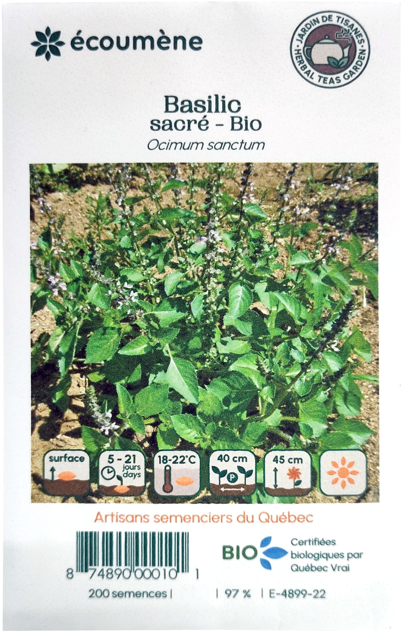 JARDINS DE L'ÉCOUMÈNE Épicerie Semence basilic sacré bio (un)