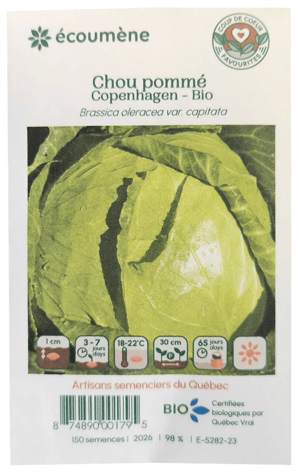 JARDINS DE L'ÉCOUMÈNE Épicerie Semence chou pommé Copenhagen bio (un)