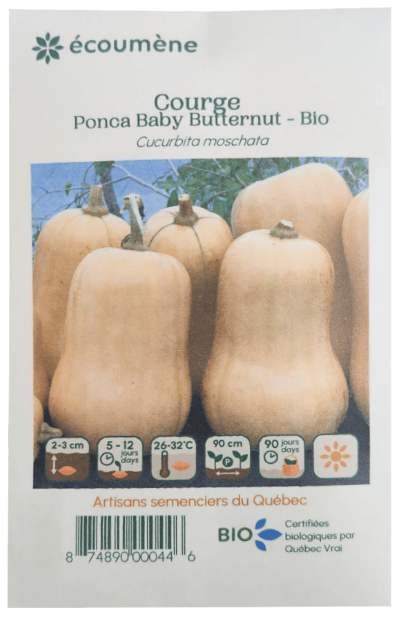 JARDINS DE L'ÉCOUMÈNE Épicerie Semence courge ponca baby butternut bio (un)
