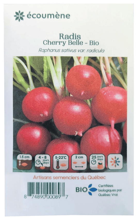 JARDINS DE L'ÉCOUMÈNE Épicerie Semence radis cherry belle bio (un)