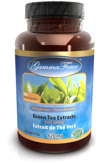 GAMMA FORCE Suppléments Extrait de thé vert 300mg EGCG standardisé (perte poids) 60vcaps