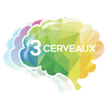 Trois-cerveaux - circulaire