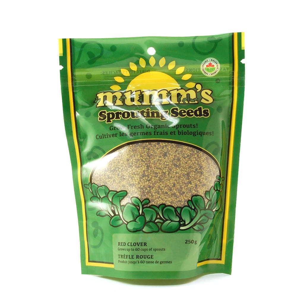 Organic red clover to sprout 250g
