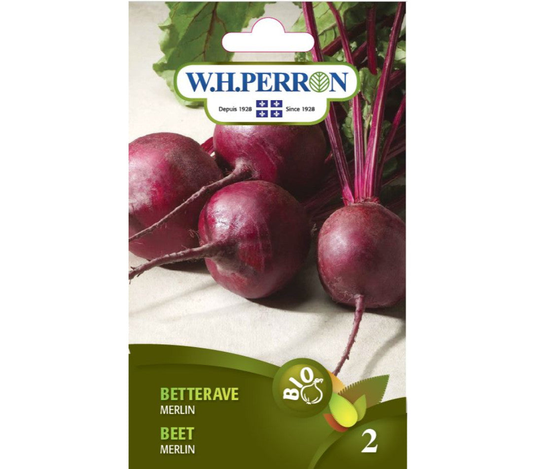 Organic merlin beet seed (un)