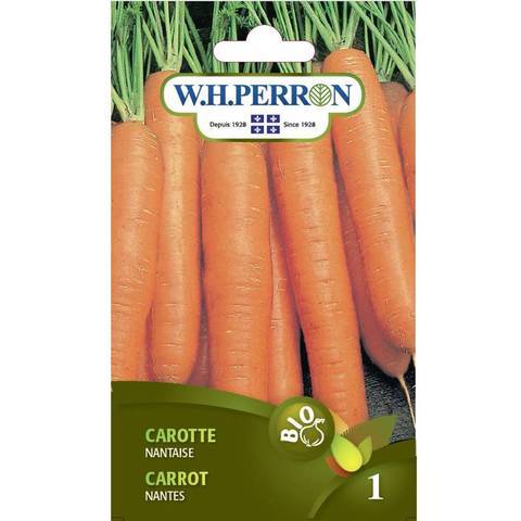 Nantes organic carrot seed (one)