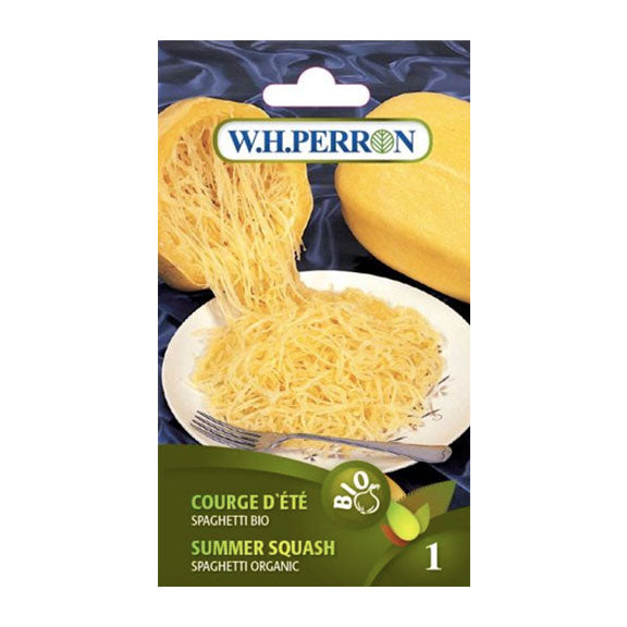 Organic spaghetti summer squash seed (un)