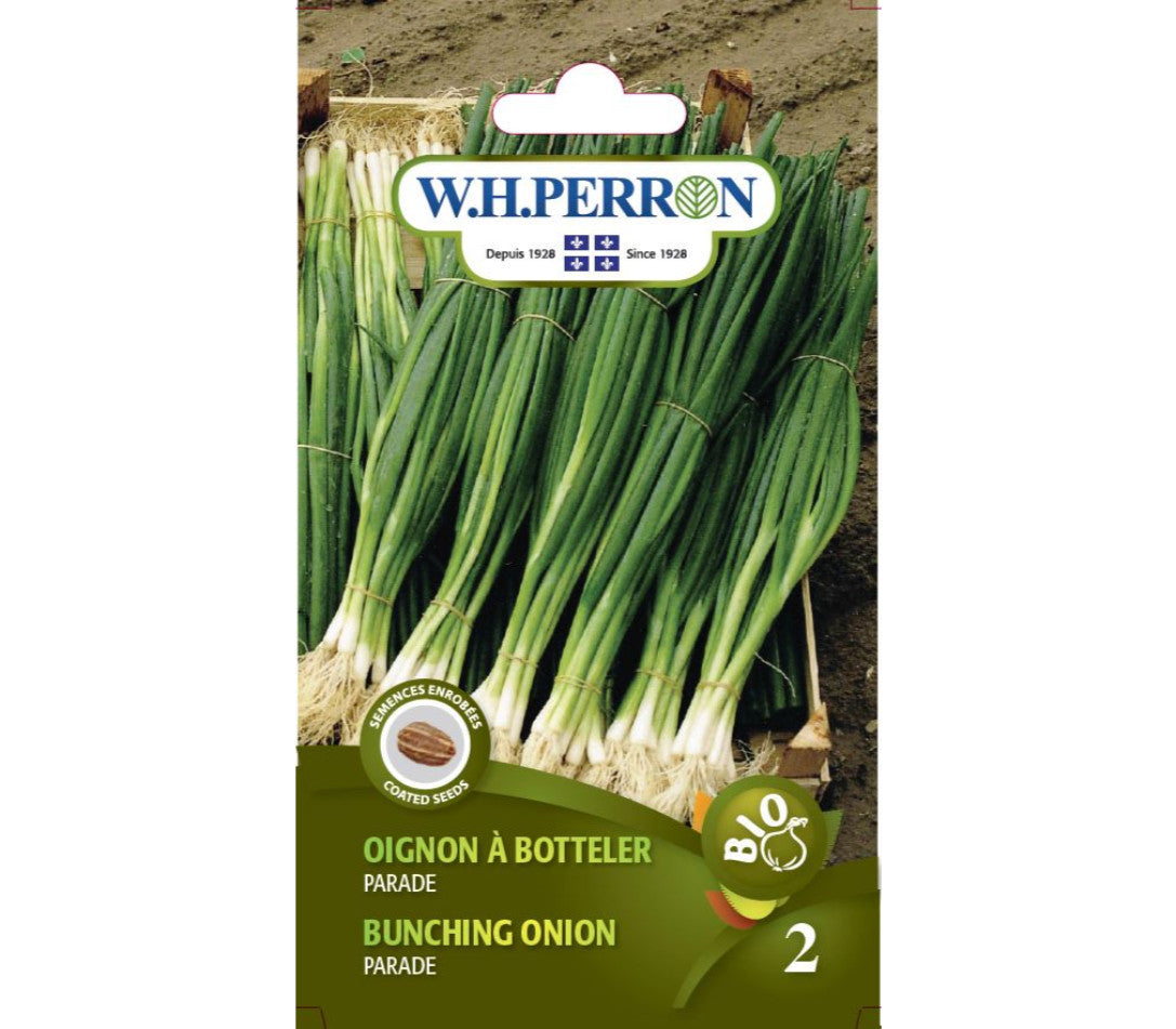 Parade organic bunching onion seed (un)