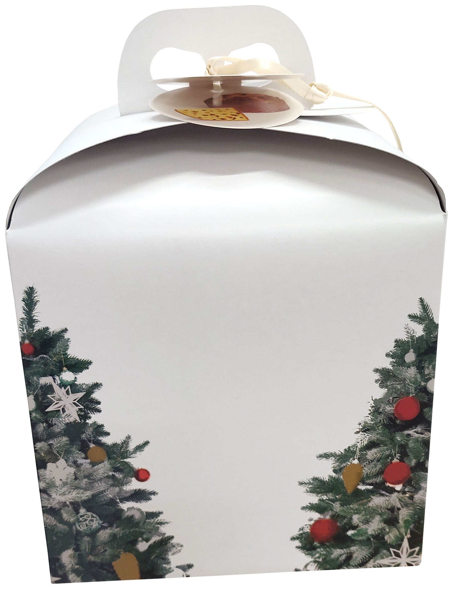 Panettone bio 750g