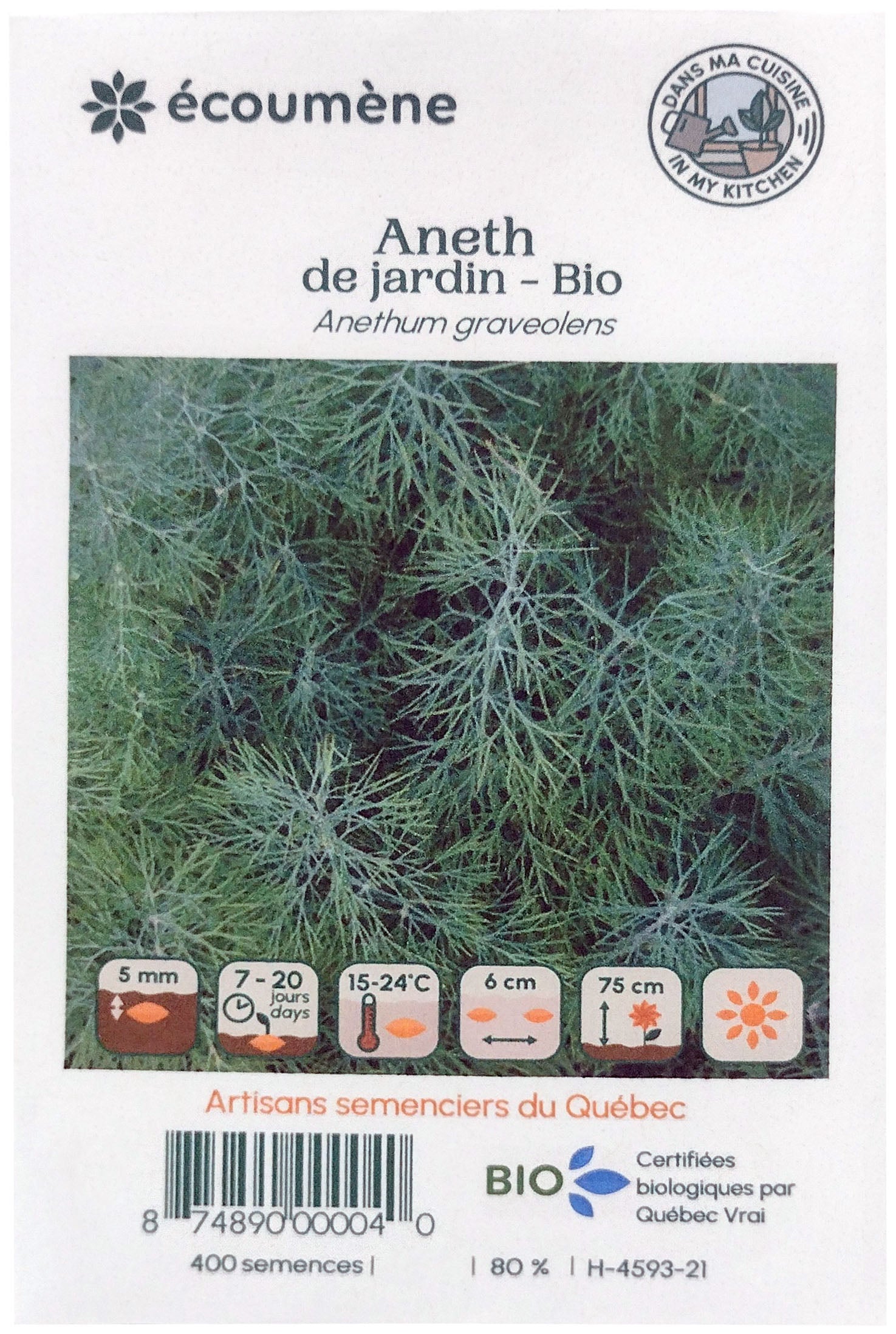 Organic garden dill seed (one)