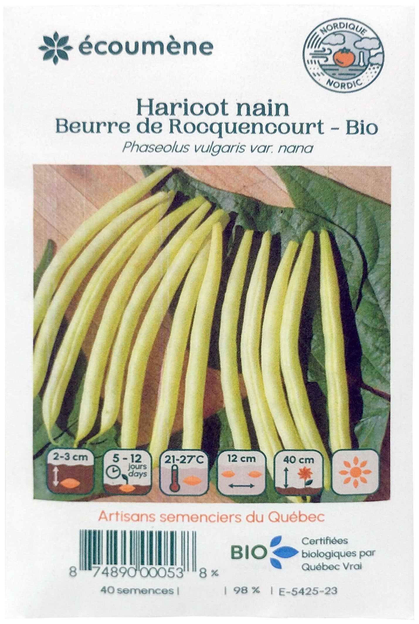 Organic rocquencourt butter dwarf bean seed (one)