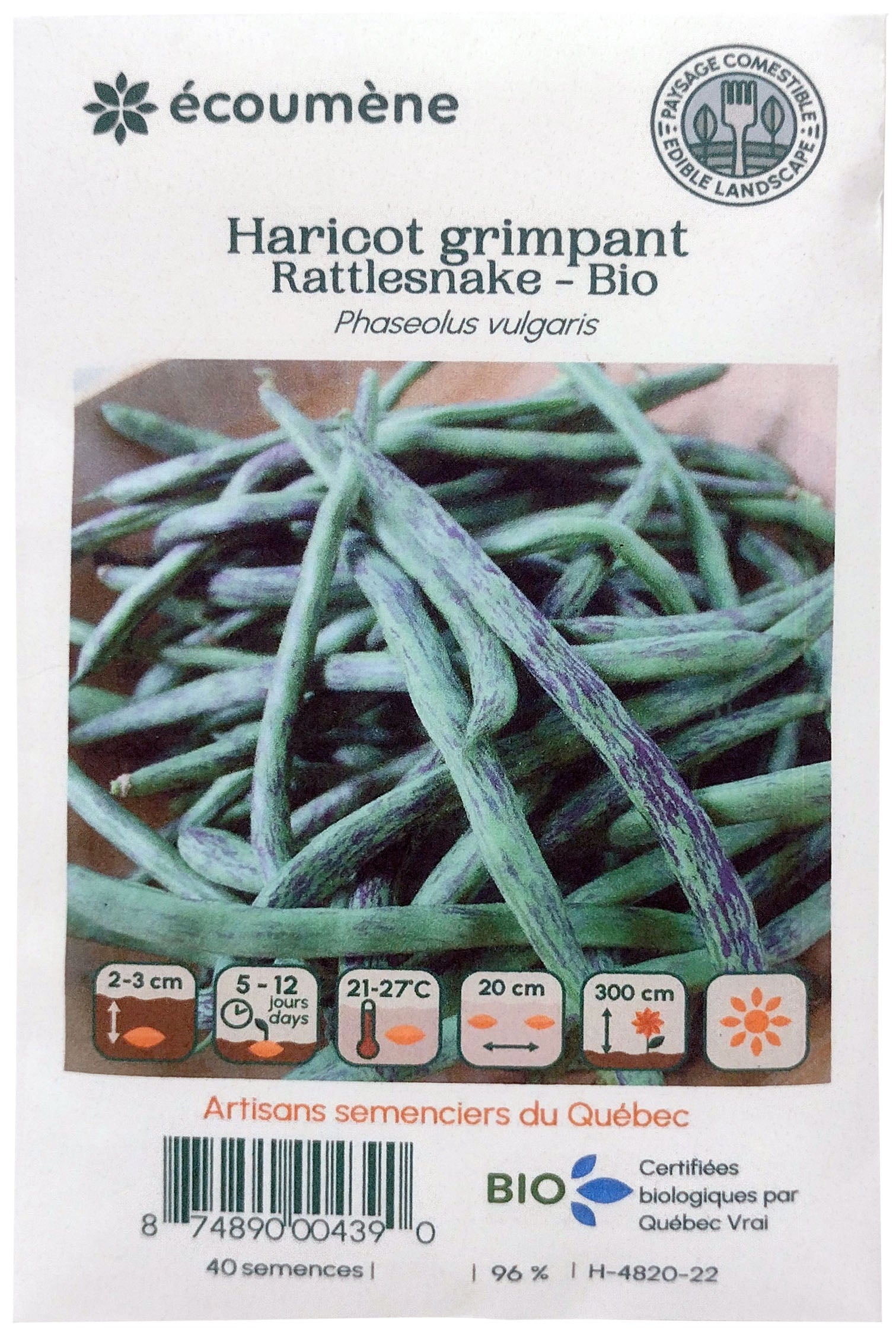 Organic Rattlesnake Climbing Bean Seed (one)