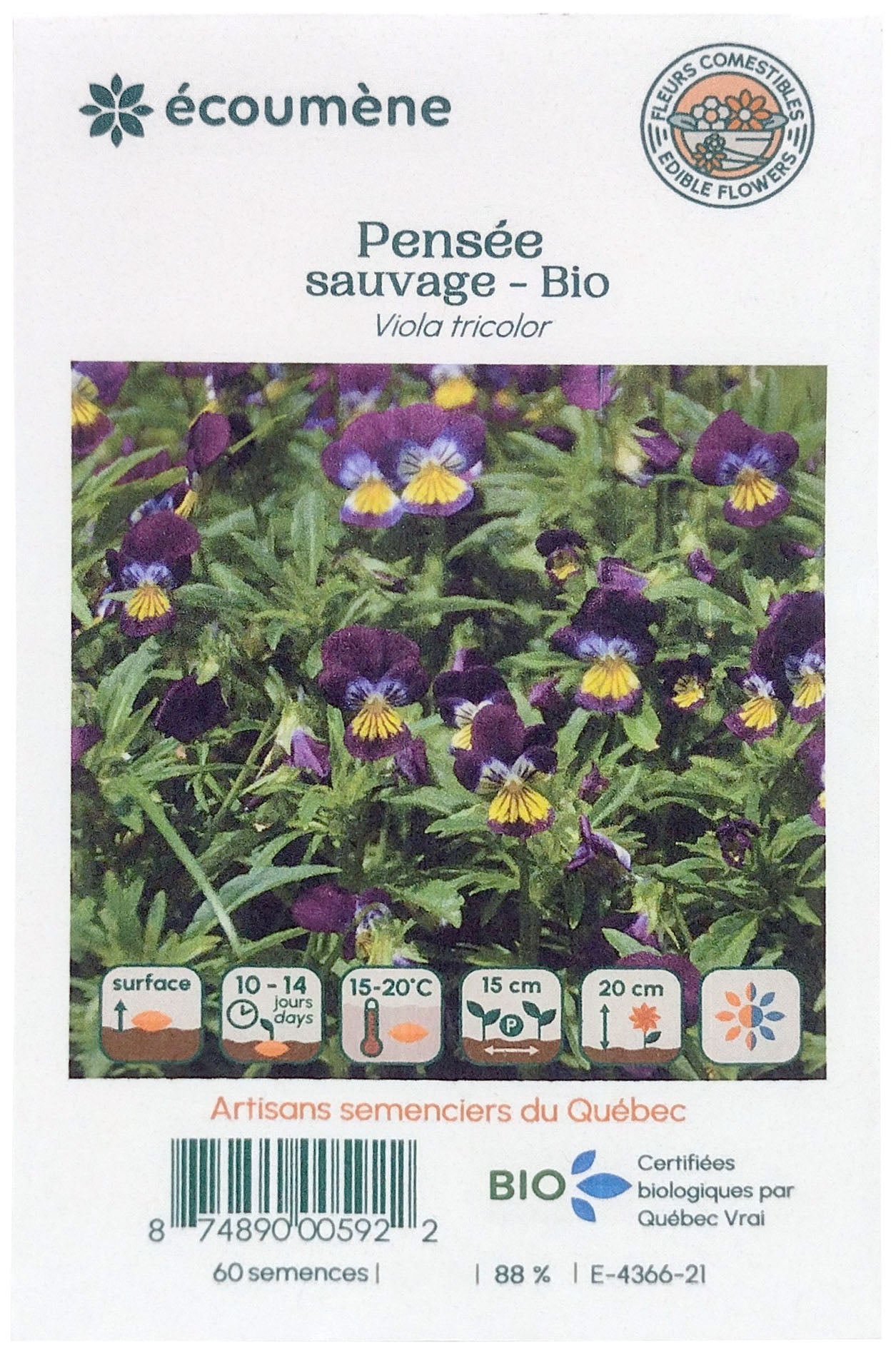 Organic wild pansy seed (one)