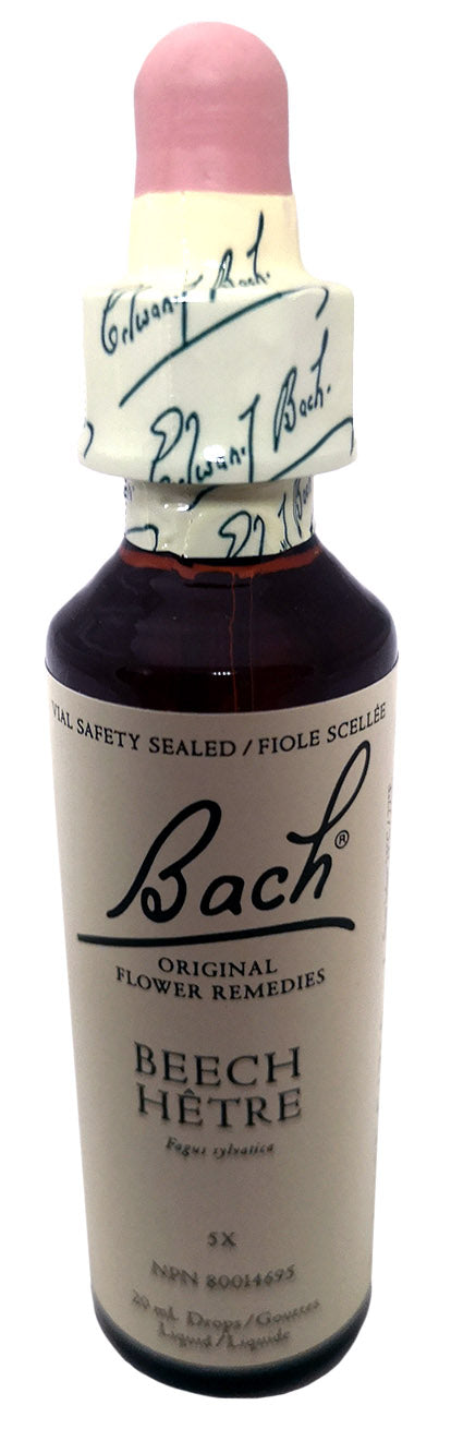 Beech (hêtre) 20ml