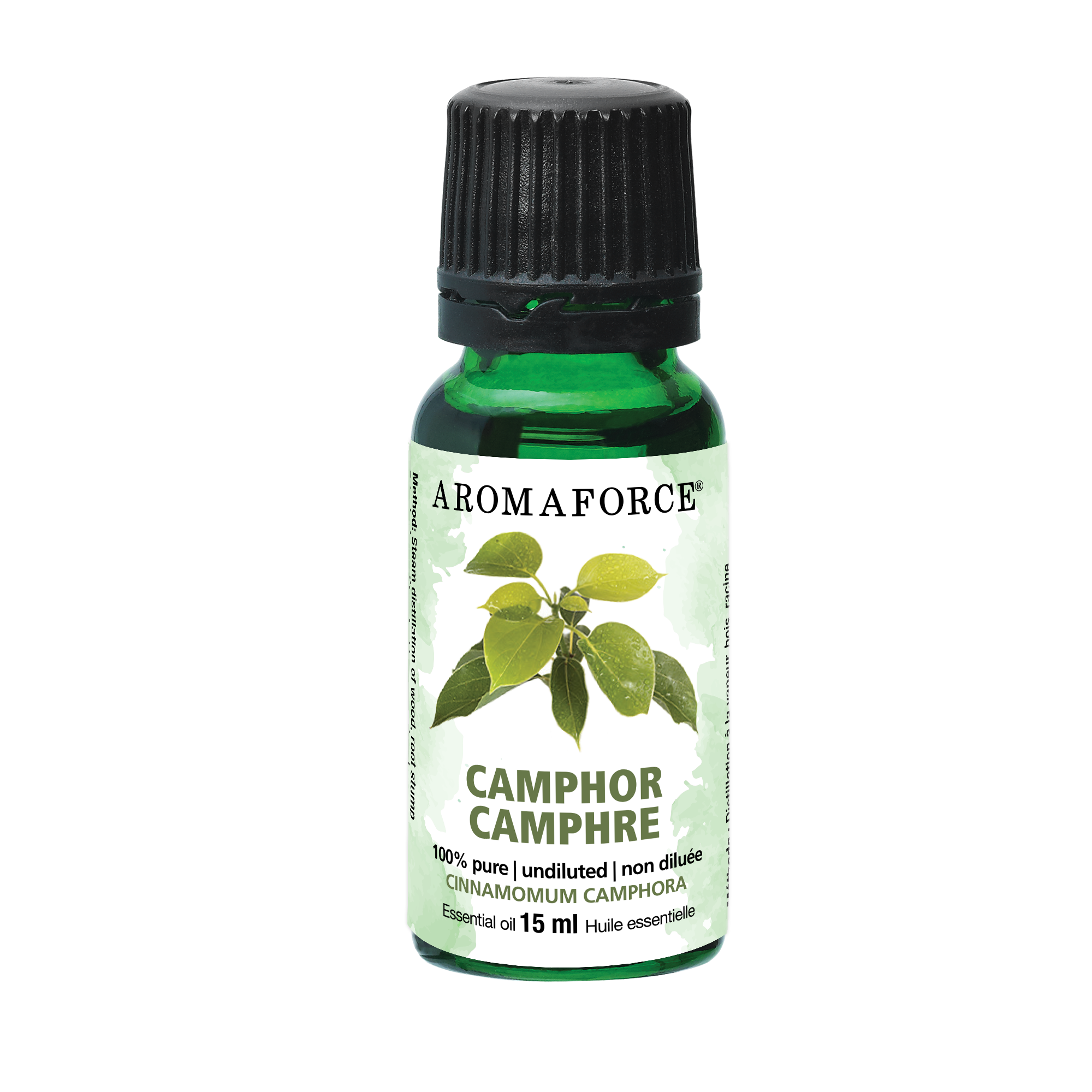 Camphor essential oil 15ml