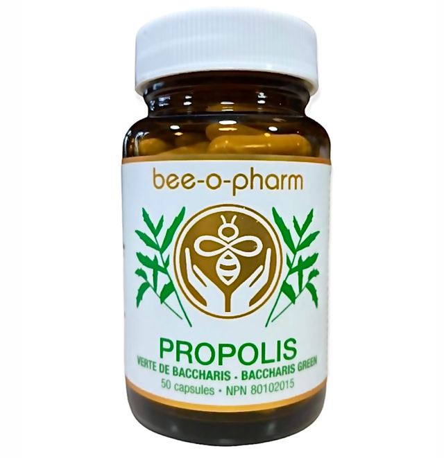 Capsules de propolis verte de Baccharis 50caps