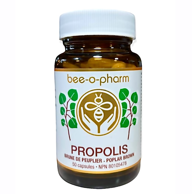 Capsules de propolis brune de Peuplier 50caps