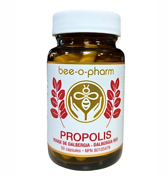 Capsules de propolis rouge de Dalbergia 50caps