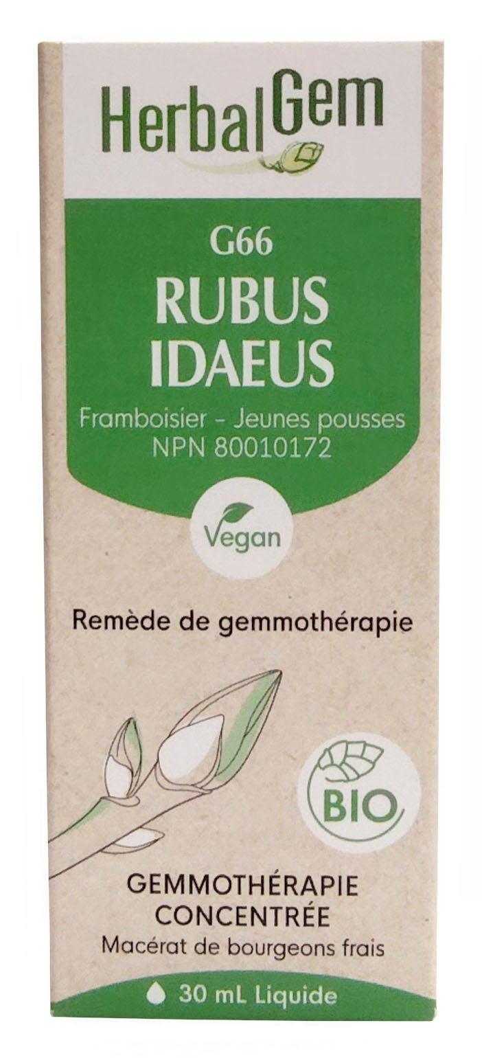 Rubus idaeus bio (G-66) 30ml