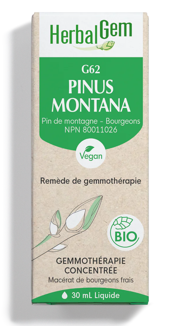 Pinus montana bio (G-62) 30ml