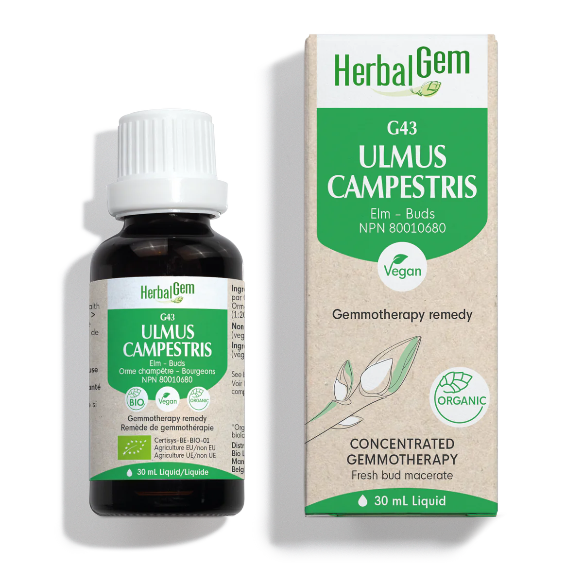 Ulmus campestris bio (G43) 30ml