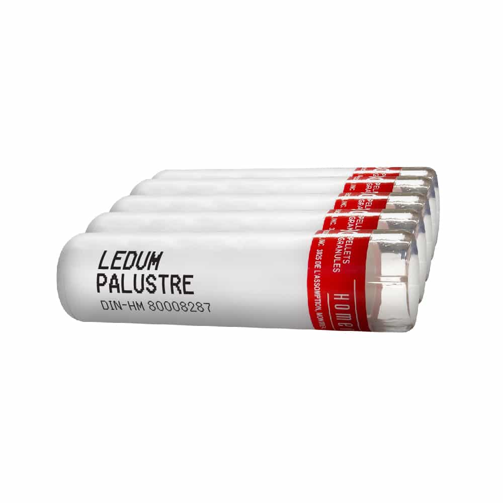 Ledum palustre (9ch) 1tube