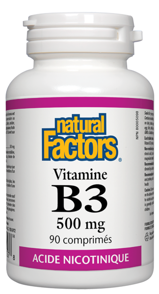 Vitamin B3 (500mg) 90comp