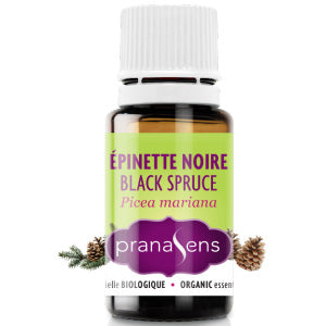 Huile essentielle épinette noire bio (picea mariana) 15ml