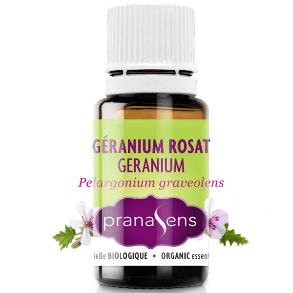 Organic rose geranium essential oil (pelargonium graveolens) 15ml