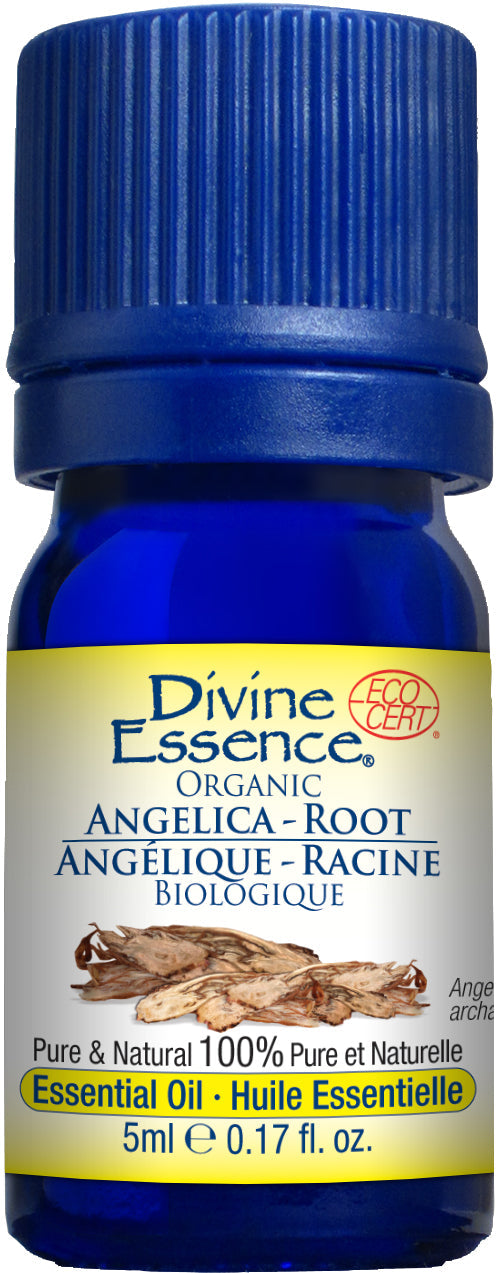 Organic essential oil - Angelica root 5ml