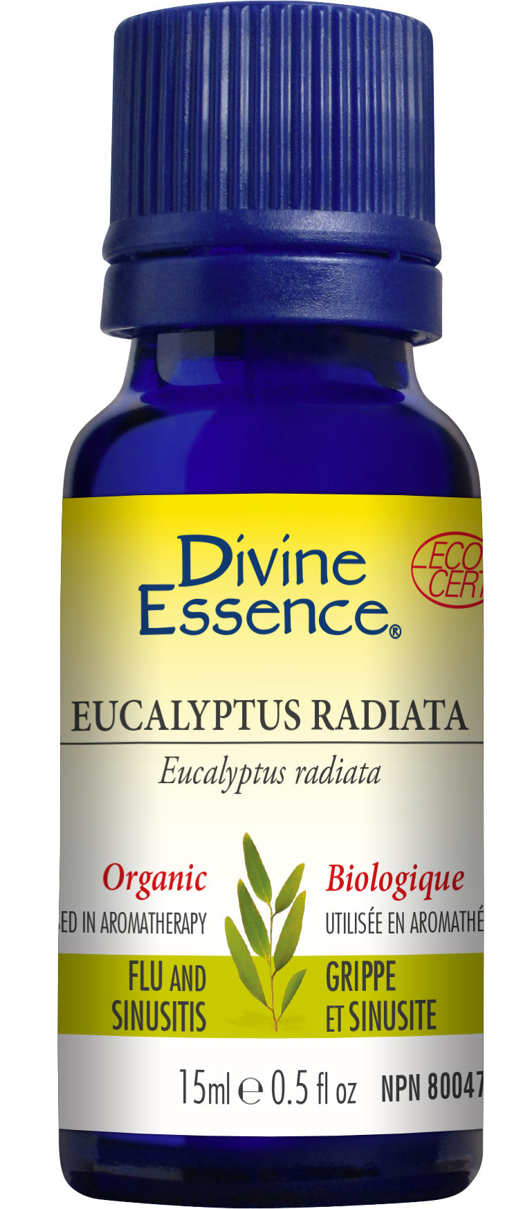 Organic essential oil - Eucalyptus radiata 15ml