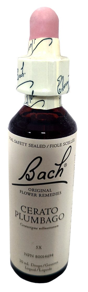BACH Suppléments Cérato (cérat) 20ml