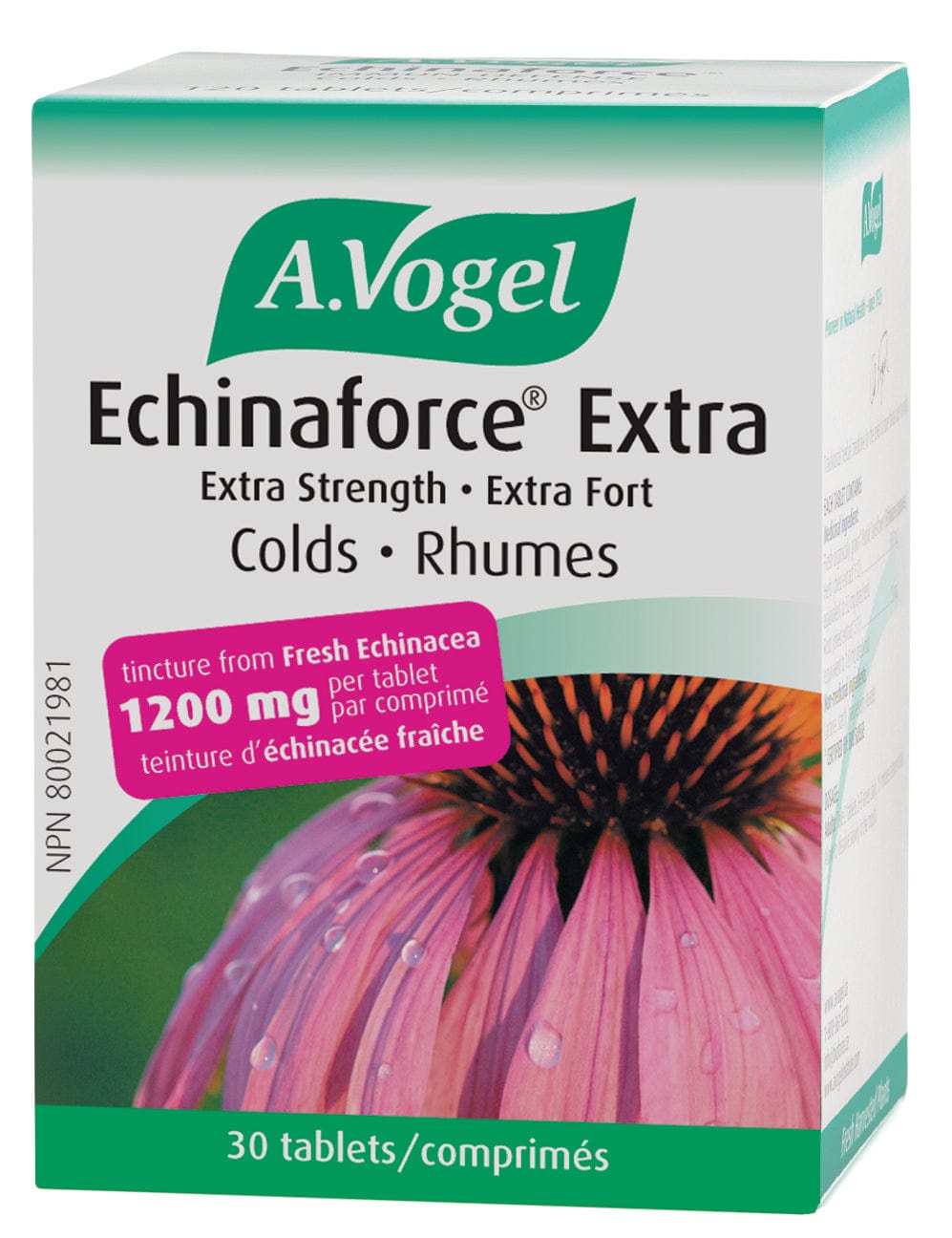 BIOFORCE (A. VOGEL) Suppléments Échinaforce extra fort 30comp