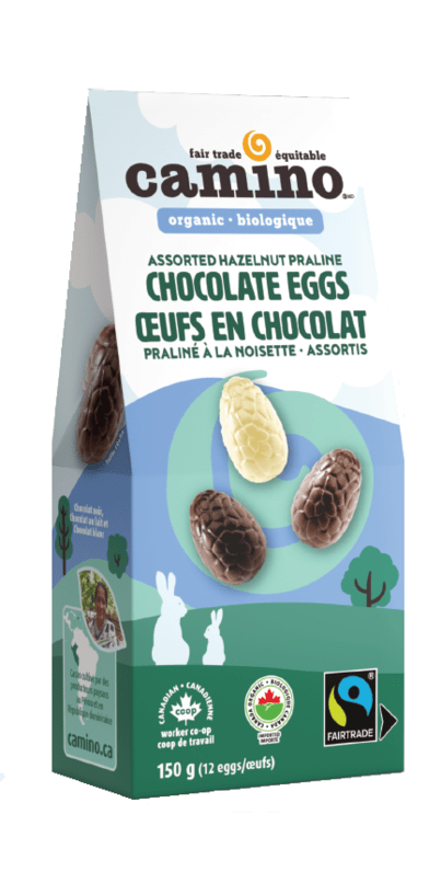 CAMINO Épicerie Oeufs en chocolat pralinés à la noisette bio 12un
