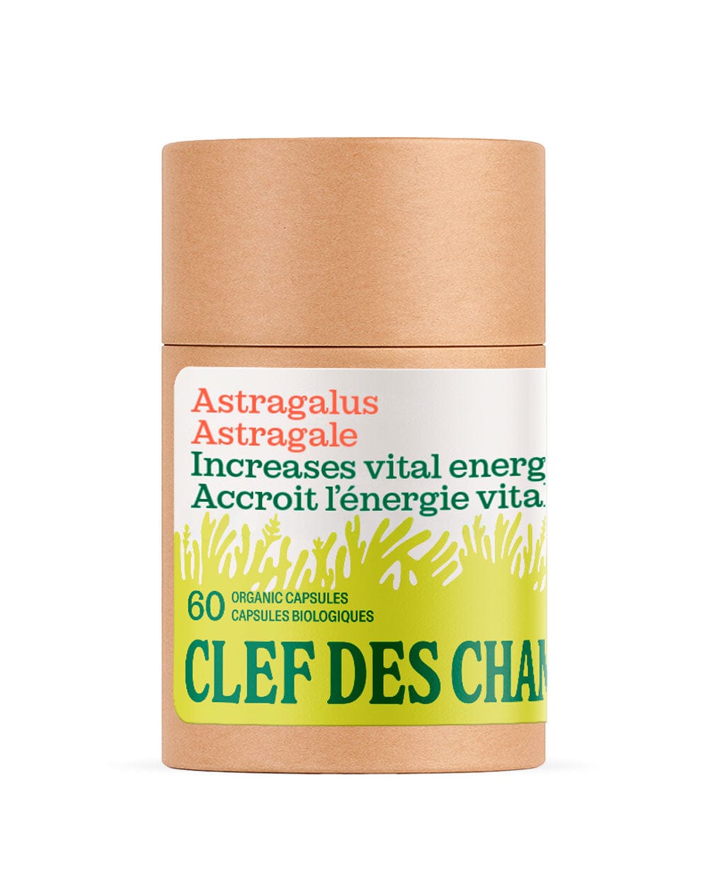 CLEF DES CHAMPS Suppléments Astragale 60caps