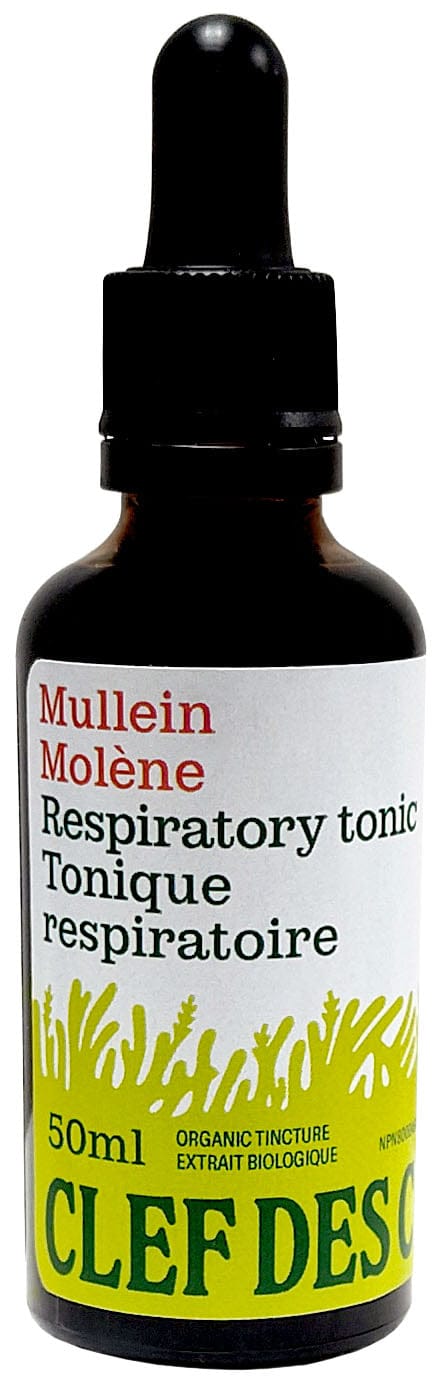 CLEF DES CHAMPS Suppléments Teinture Molène (feuille) 50ml