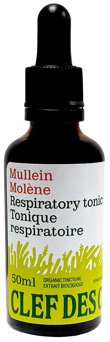 CLEF DES CHAMPS Suppléments Teinture Molène (feuille) 50ml