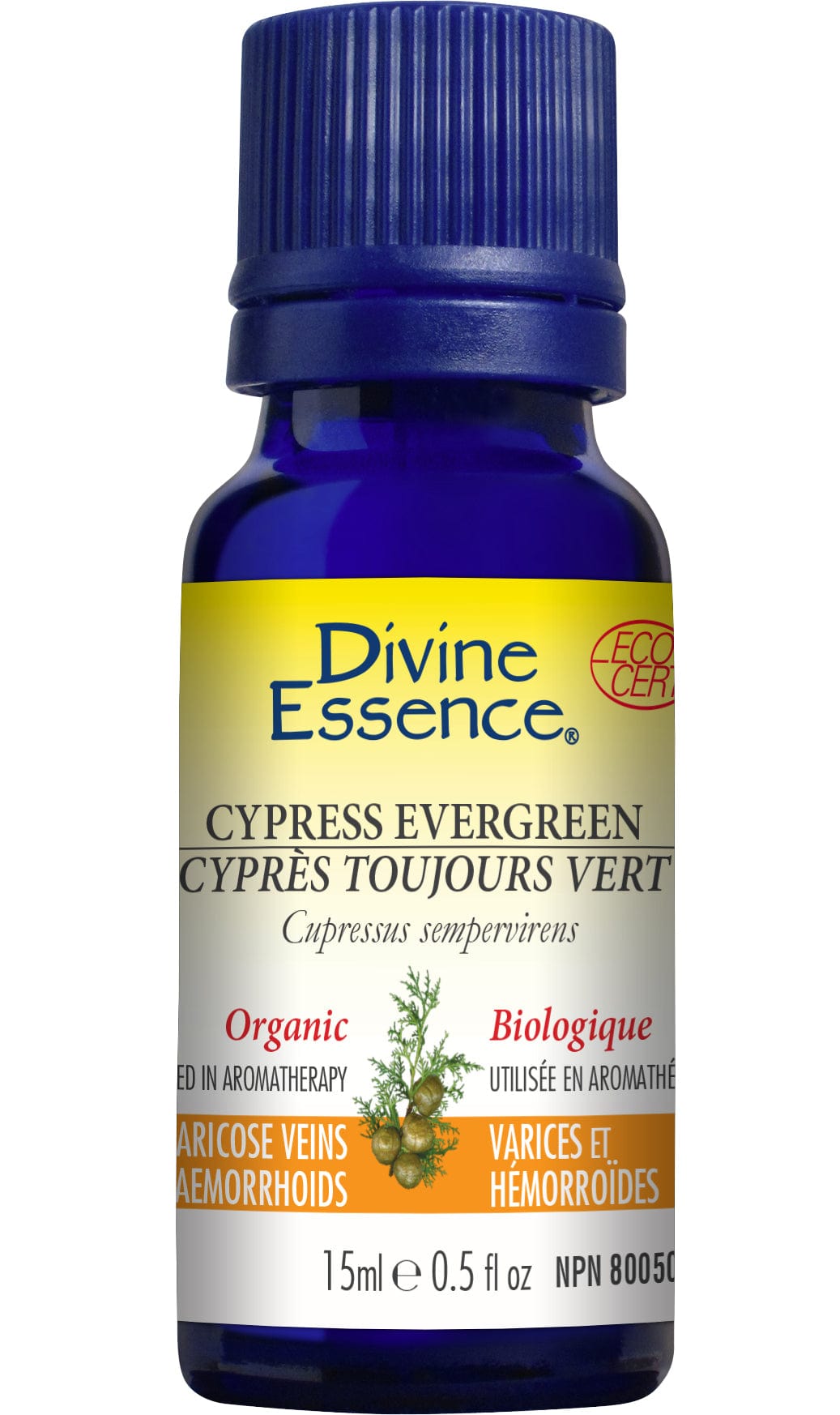 DIVINE ESSENCE Suppléments Huile essentielle cyprès toujours vert bio 15ml