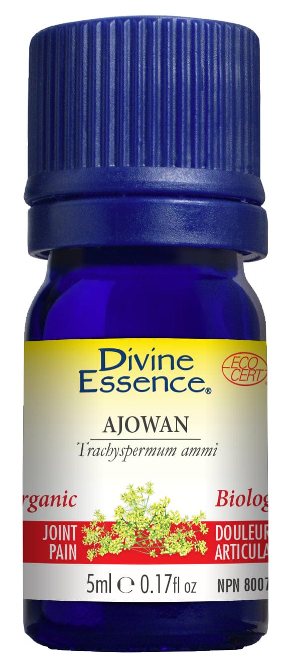 DIVINE ESSENCE Suppléments Huile essentielle d'ajowan bio fruit Inde 5ml