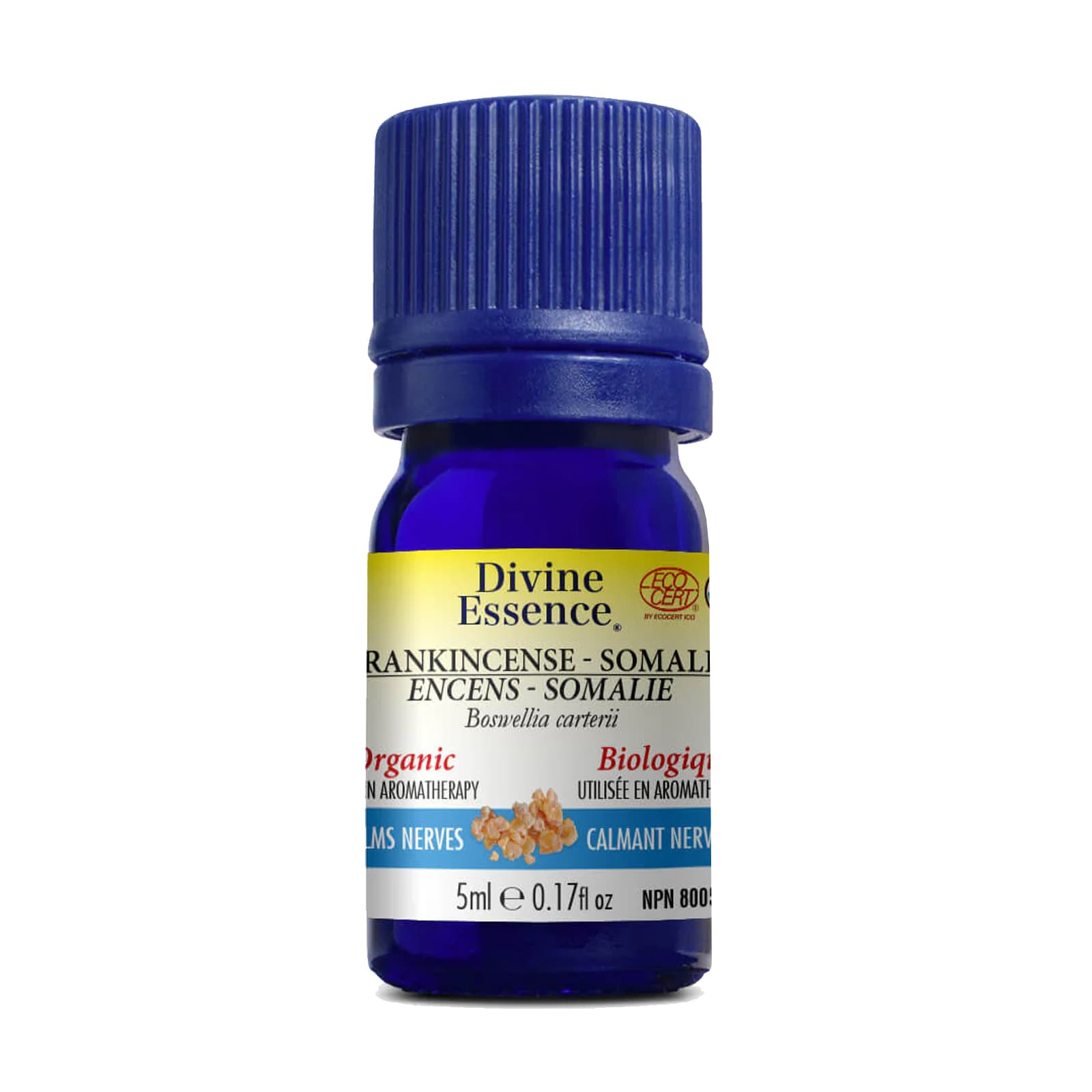 DIVINE ESSENCE Suppléments Huile essentielle encens Somalie bio 5ml