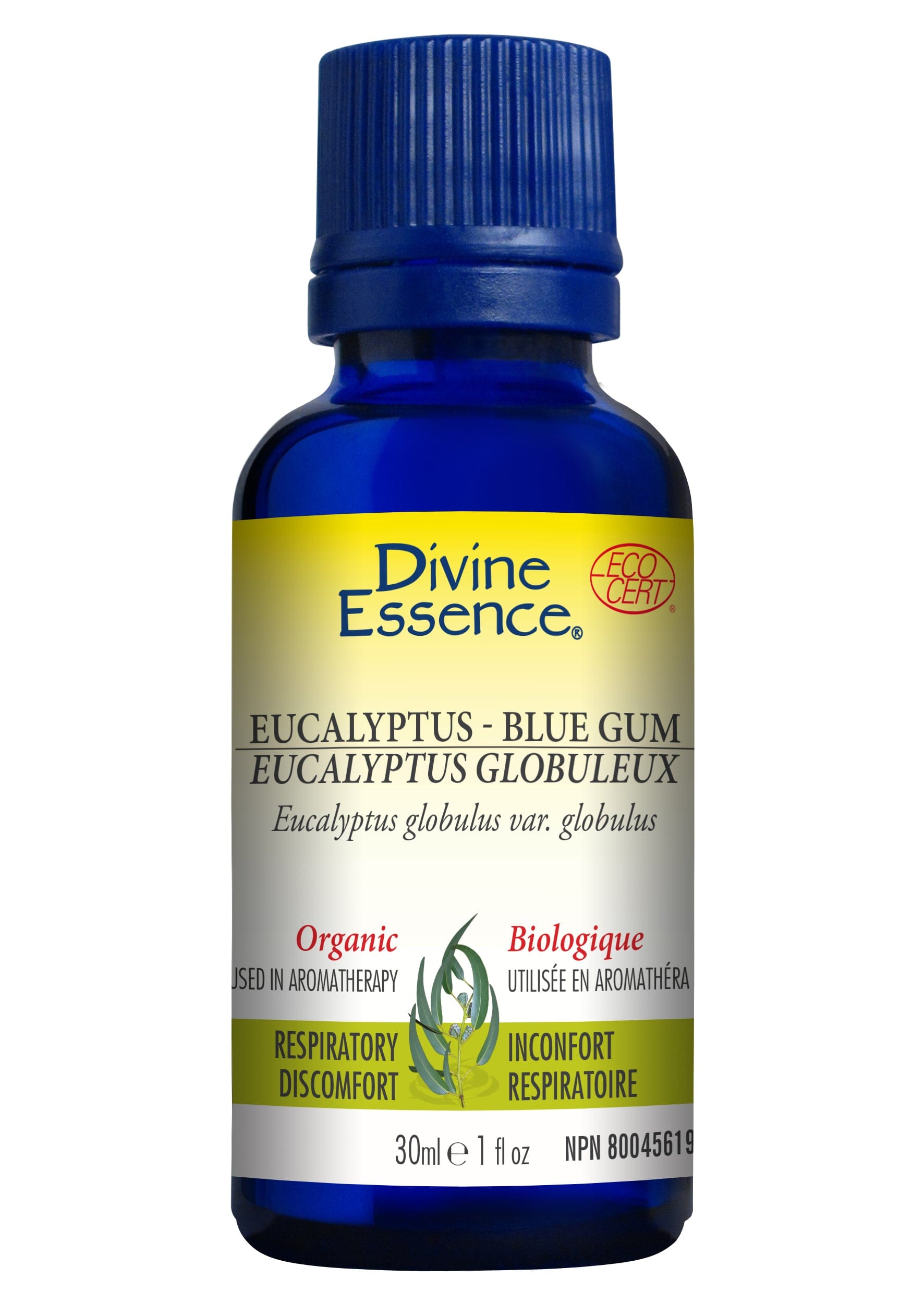 DIVINE ESSENCE Suppléments Huile essentielle eucalyptus globuleux bio 30ml