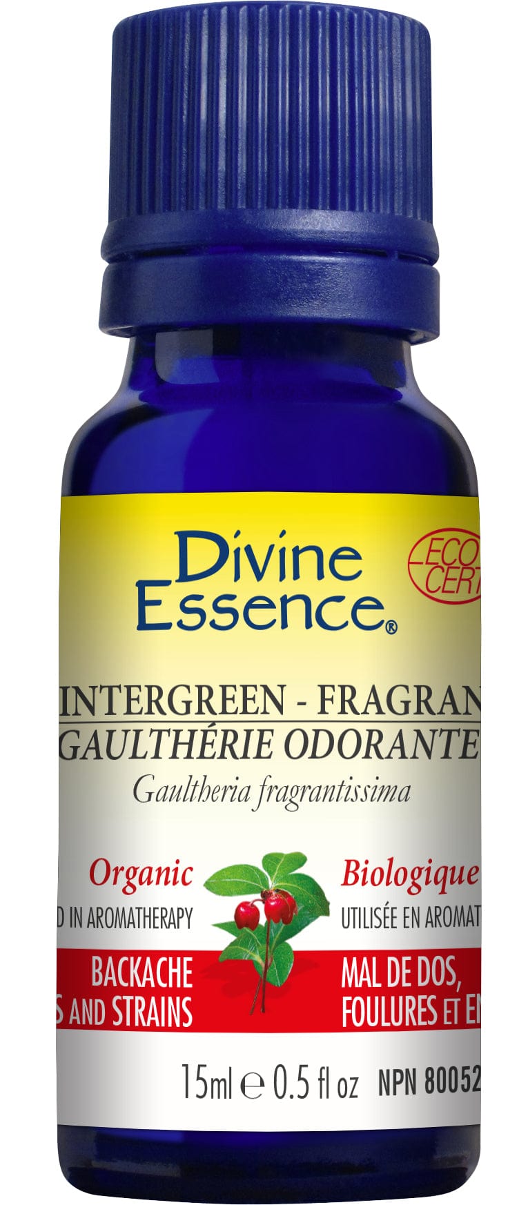 DIVINE ESSENCE Suppléments Huile essentielle gaulthérie odorante bio 15ml