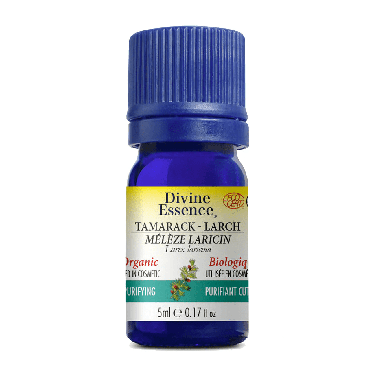 DIVINE ESSENCE Suppléments Huile essentielle Mélèze laricin bio 5ml