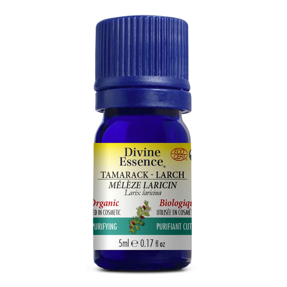 DIVINE ESSENCE Suppléments Huile essentielle Mélèze laricin bio 5ml