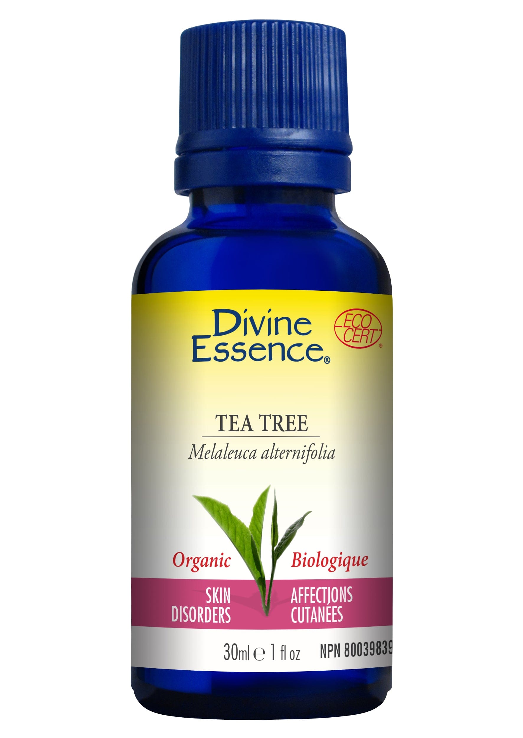 DIVINE ESSENCE Suppléments Huile essentielle tea tree bio 30ml