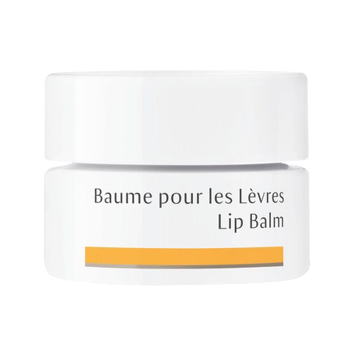 DR.HAUSCHKA Soins & Beauté Baume pour les lèvres 4.5ml