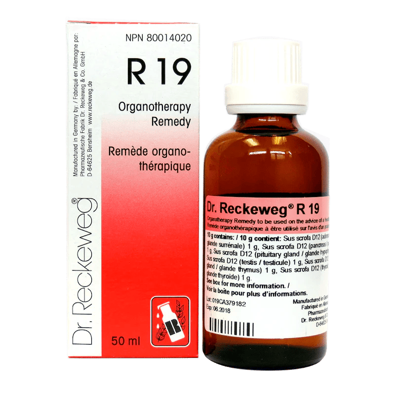 DR.RECKEWEG Suppléments R19 50ml